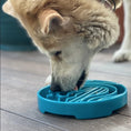 Load image into Gallery viewer, Baja Design eTray Enrichment Slow Feeder Tray for Dogs - Sea Foam