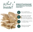 Load image into Gallery viewer, Ergo+ L-ergothioneine Supplement