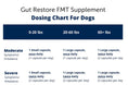 Load image into Gallery viewer, FMT Gut Restore: Ultimate Gut Restoration Supplement for Dogs