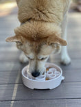 Load image into Gallery viewer, Java Design eBowl Enrichment Slow Feeder Bowl for Dogs