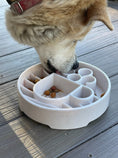 Load image into Gallery viewer, Java Design eBowl Enrichment Slow Feeder Bowl for Dogs