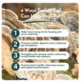 Load image into Gallery viewer, Organic Turkey Tail Mushroom Powder for Pets (45 g)