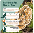 Load image into Gallery viewer, Organic Turkey Tail Mushroom Powder for Pets (45 g)