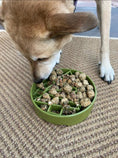 Load image into Gallery viewer, Pine Tree Design eBowl Enrichment Slow Feeder Bowl for Dogs