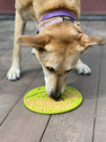 Load image into Gallery viewer, Tree of Life Design eMat Enrichment Lick Mat With Suction Cups