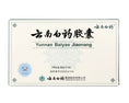 Load image into Gallery viewer, Yunnan Baiyao Capsules – Healing Support for Bleeding and Recovery