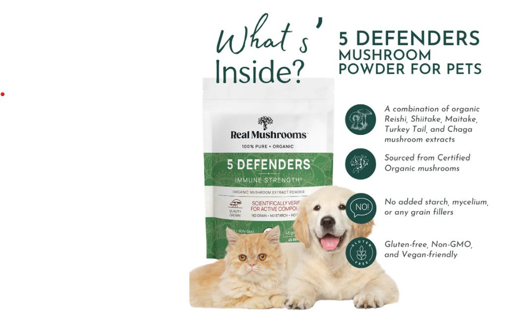 5 Defenders Mushroom Blend Powder - Immune Support