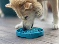 Load image into Gallery viewer, Baja Design eTray Enrichment Shallow Slow Feeder Dog Bowl
