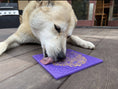 Load image into Gallery viewer, Bones Design eMat Enrichment Lick Mat
