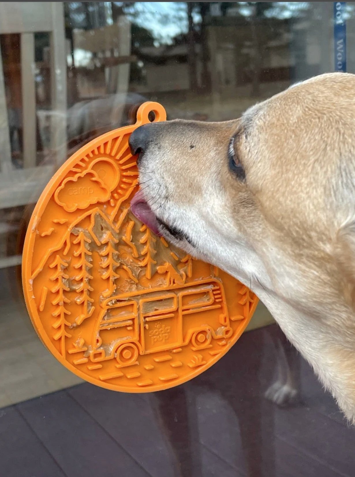 Camp eMat Enrichment Lick Mat