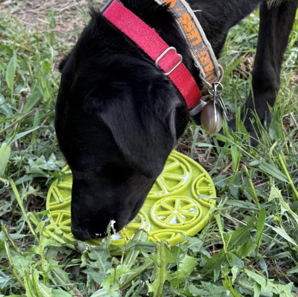 Citrus Design eMat Enrichment Lick Mat With Suction Cups