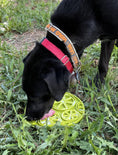 Load image into Gallery viewer, Citrus Design eMat Enrichment Lick Mat With Suction Cups
