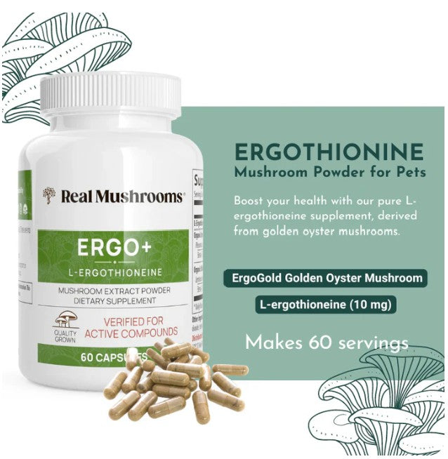 Ergo+ L-ergothioneine Supplement