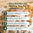 Load image into Gallery viewer, Ergo+ L-ergothioneine Supplement
