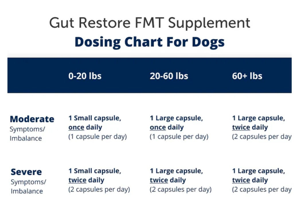 FMT Gut Restore: Ultimate Gut Restoration Supplement for Dogs
