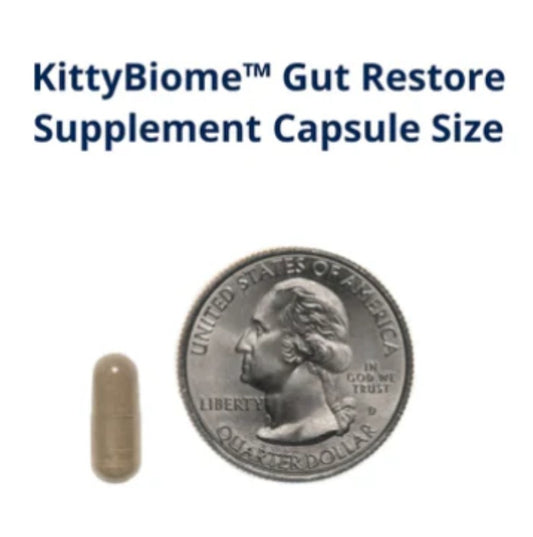FMT Gut Restore: Ultimate Gut Restoration Supplement for Cats