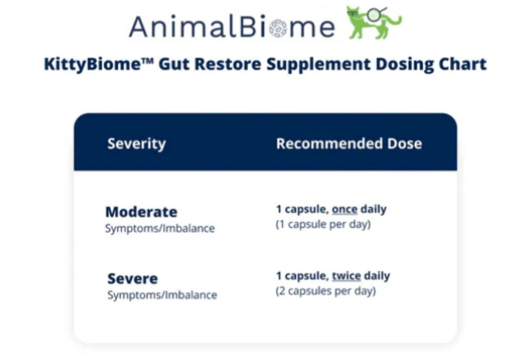 FMT Gut Restore: Ultimate Gut Restoration Supplement for Cats