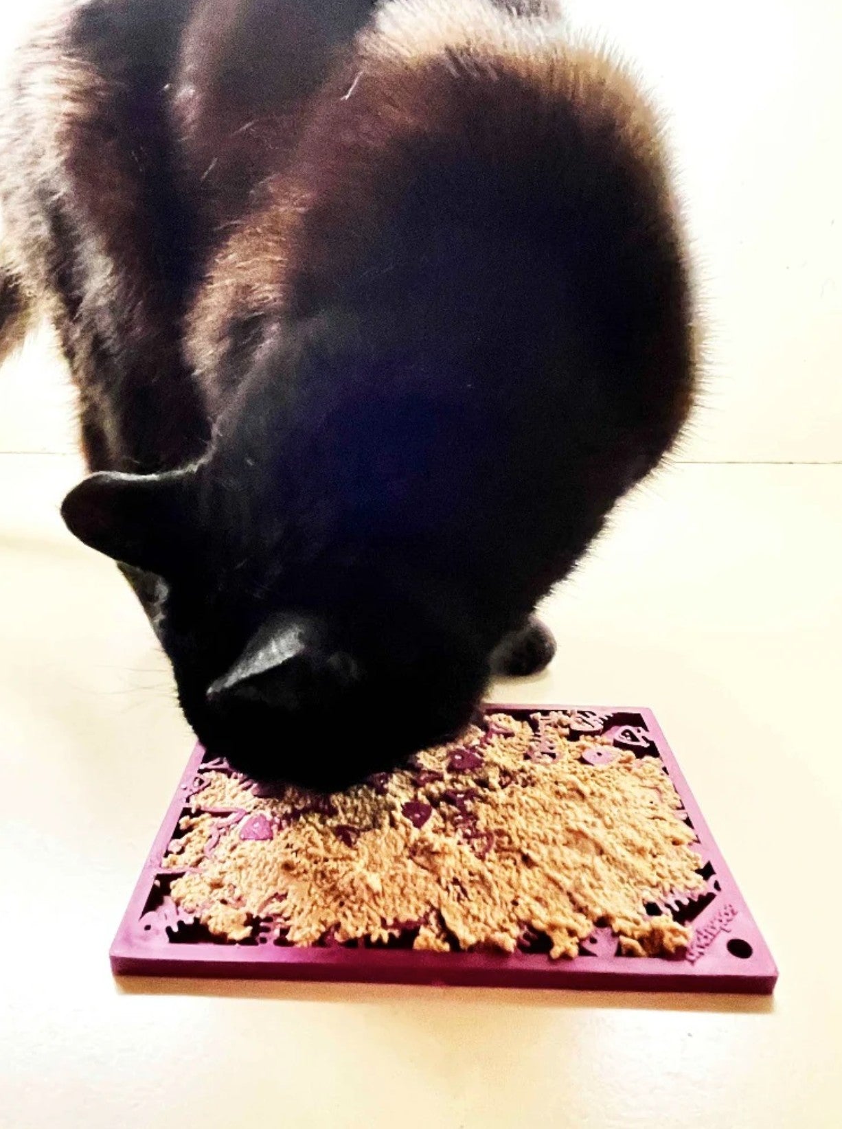 Fishy Design eMat Enrichment Lick Mat - small