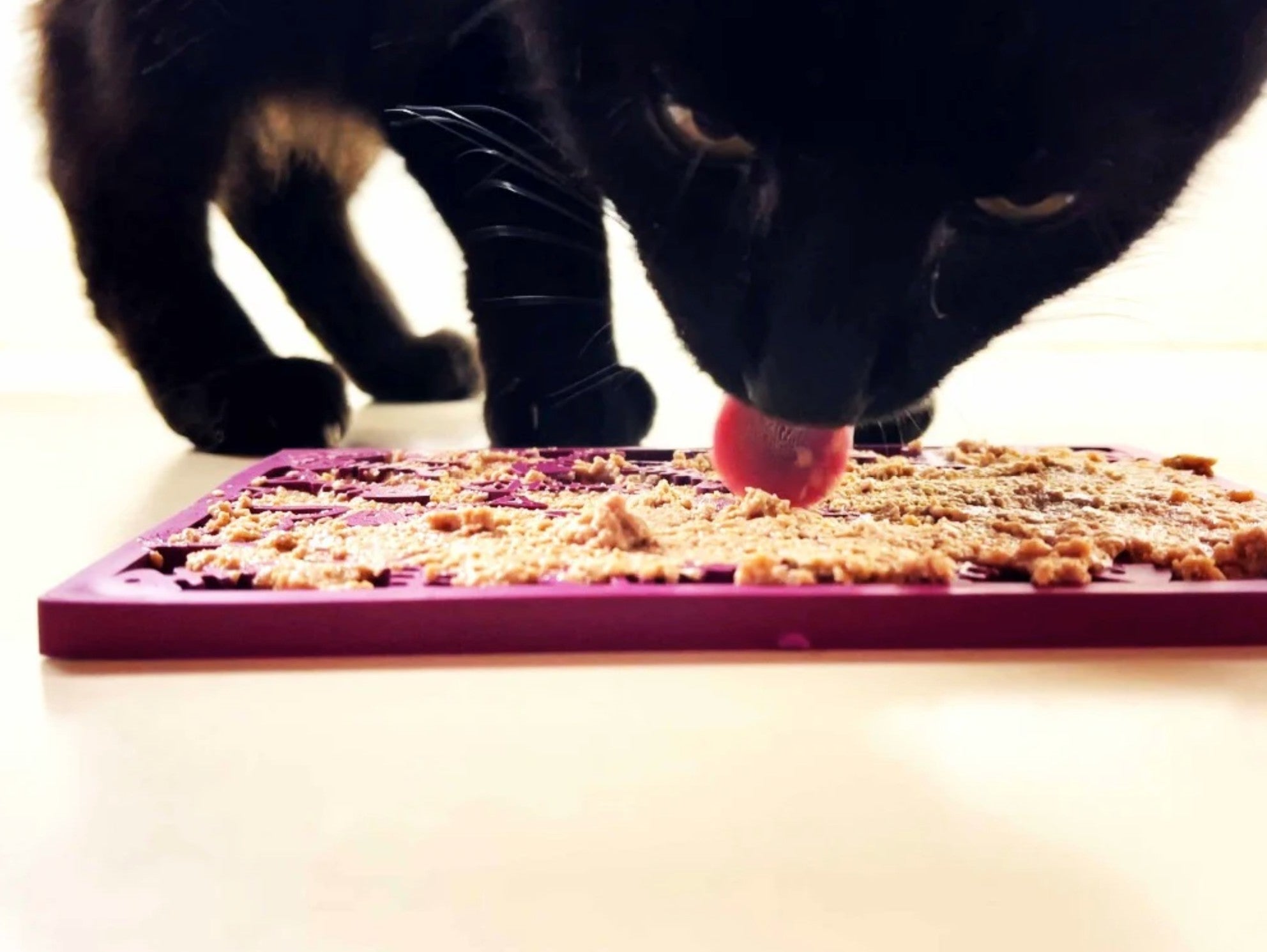 Fishy Design eMat Enrichment Lick Mat - small