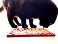 Load image into Gallery viewer, Fishy Design eMat Enrichment Lick Mat - small

