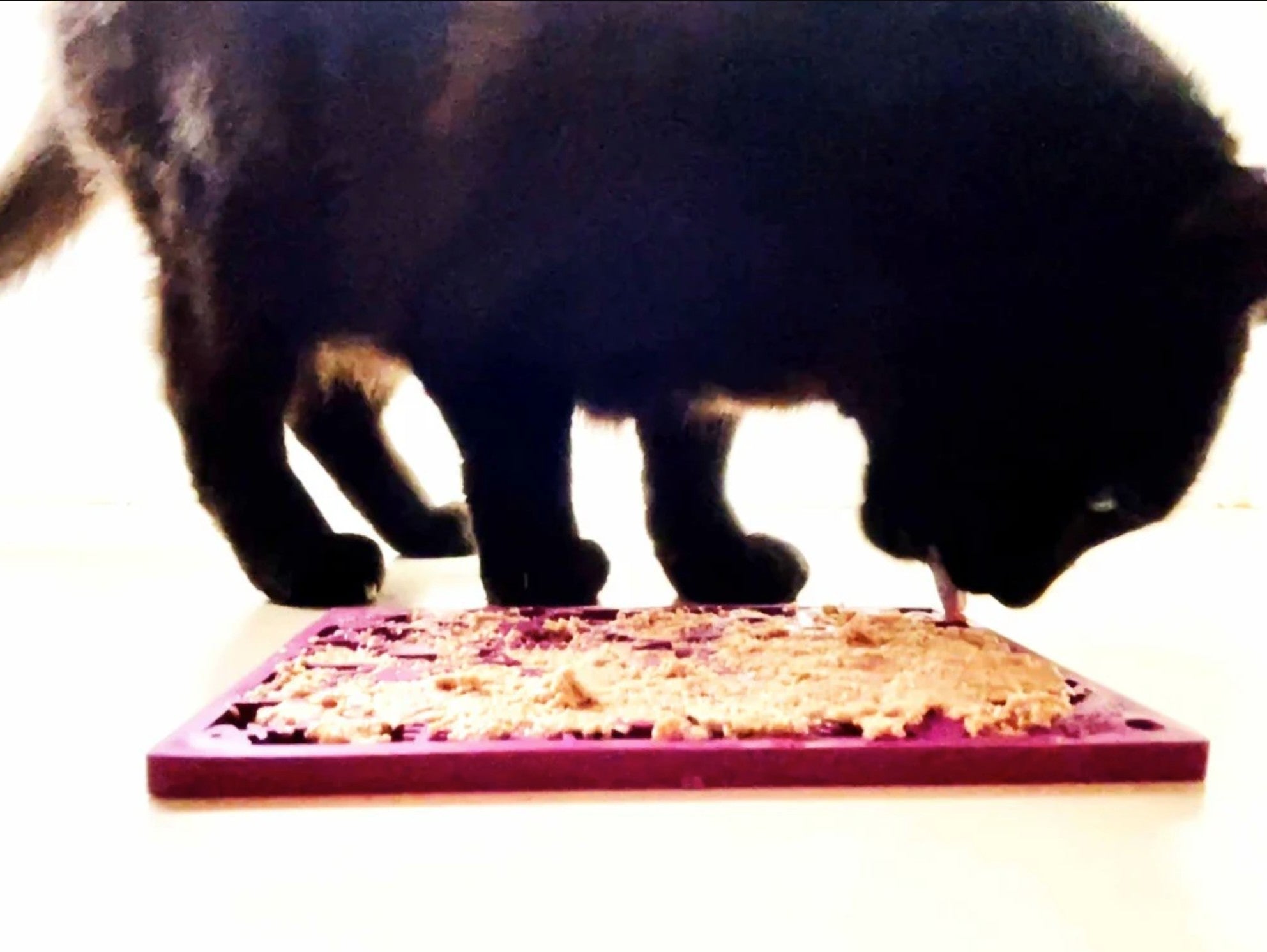 Fishy Design eMat Enrichment Lick Mat - small