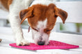 Load image into Gallery viewer, Flower Power Design eMat Enrichment Lick Mat
