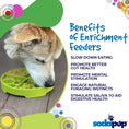 Load image into Gallery viewer, Four Seasons Design eTray Enrichment Shallow Slow Feeder Dog Bowl
