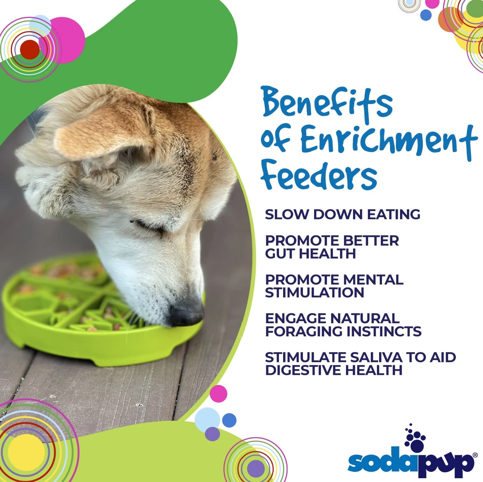 Four Seasons Design eTray Enrichment Shallow Slow Feeder Dog Bowl