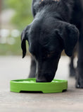 Load image into Gallery viewer, Garden Design eTray Enrichment Shallow Slow Feeder Dog Bowl
