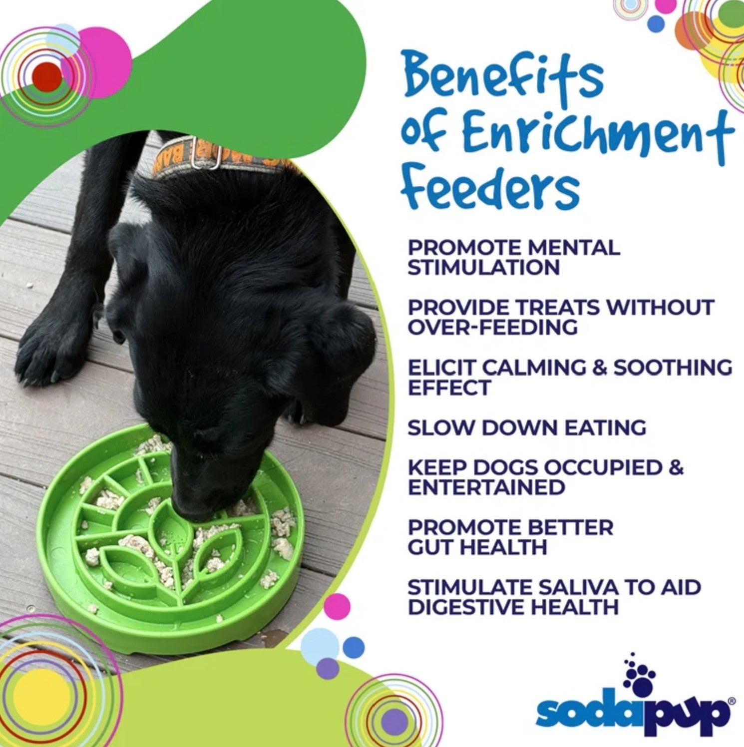 Garden Design eTray Enrichment Shallow Slow Feeder Dog Bowl