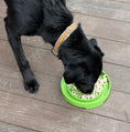 Load image into Gallery viewer, Garden Design eTray Enrichment Shallow Slow Feeder Dog Bowl
