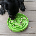 Load image into Gallery viewer, Garden Design eTray Enrichment Shallow Slow Feeder Dog Bowl
