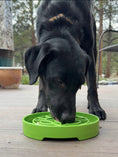 Load image into Gallery viewer, Garden Design eTray Enrichment Shallow Slow Feeder Dog Bowl
