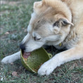 Load image into Gallery viewer, Garden of Eatin' Tipsy Bowl
