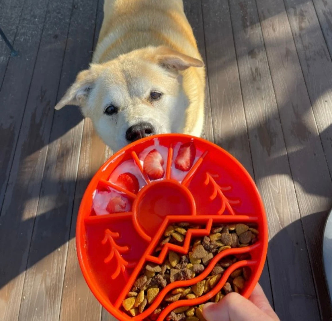 Great Outdoors Design eBowl Enrichment Slow Feeder Bowl for Dogs