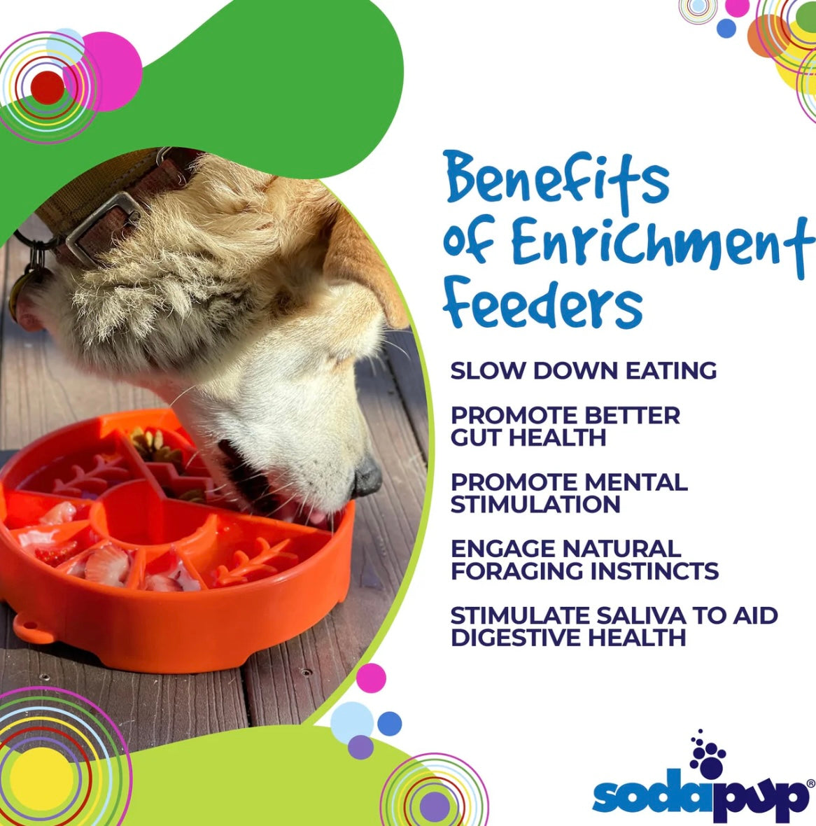 Great Outdoors Design eBowl Enrichment Slow Feeder Bowl for Dogs