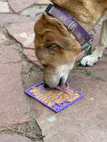 Load image into Gallery viewer, Groovy Love Design eMat Enrichment Lick Mat - small
