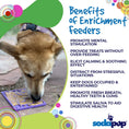 Load image into Gallery viewer, Groovy Love Design eMat Enrichment Lick Mat - small
