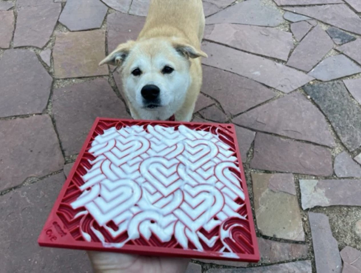Heart Design "Love" eMat Lick Mat