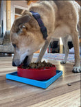 Load image into Gallery viewer, Hold 'em Suction Cup Holder for eBowls, eTrays, and eMats

