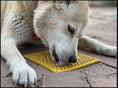 Load image into Gallery viewer, Honeycomb Design Emat Enrichment Lick Mat
