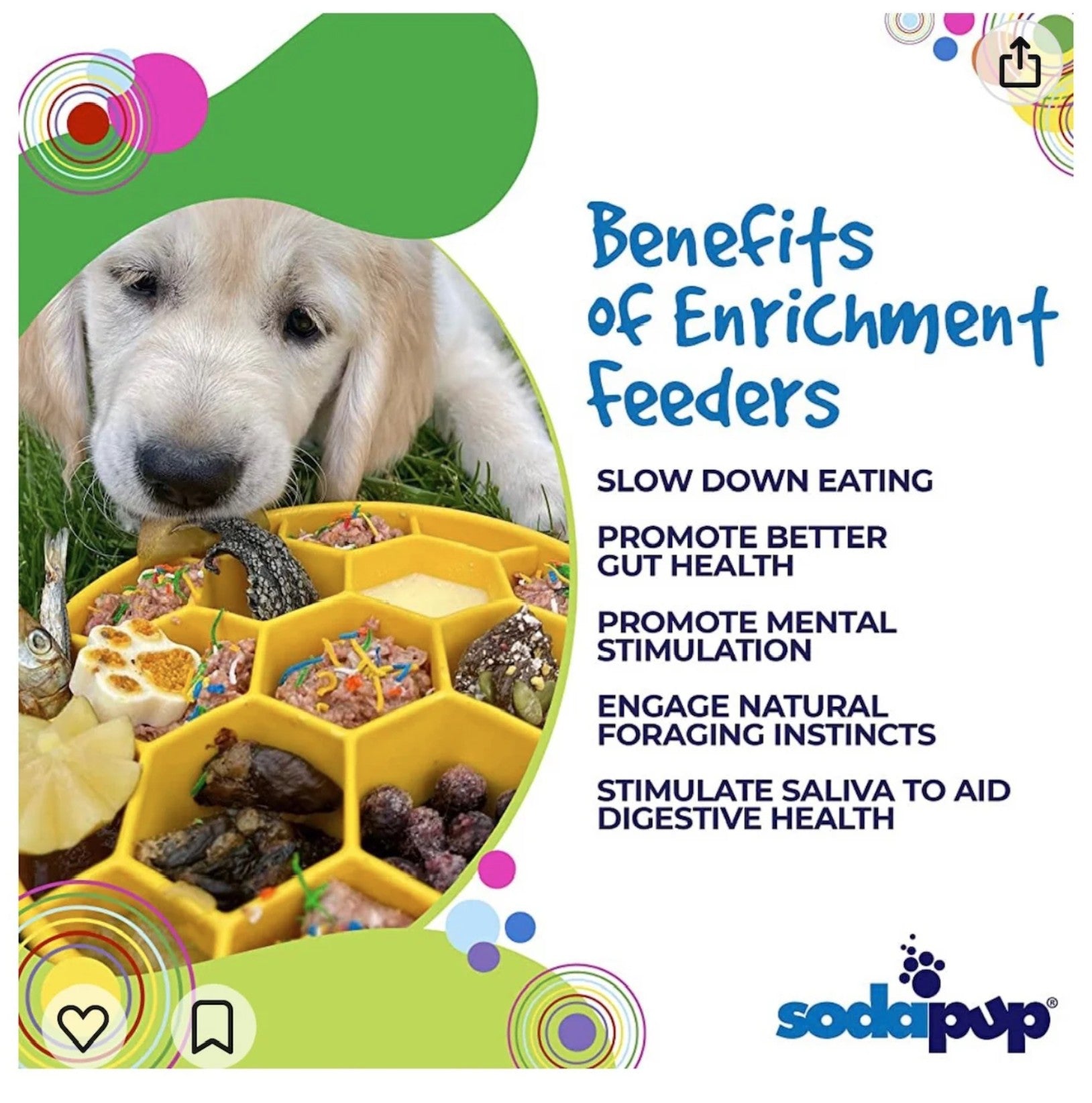 Honeycomb Design eBowl Enrichment Slow Feeder Bowl for Dogs