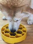 Load image into Gallery viewer, Honeycomb Design eBowl Enrichment Slow Feeder Bowl for Dogs
