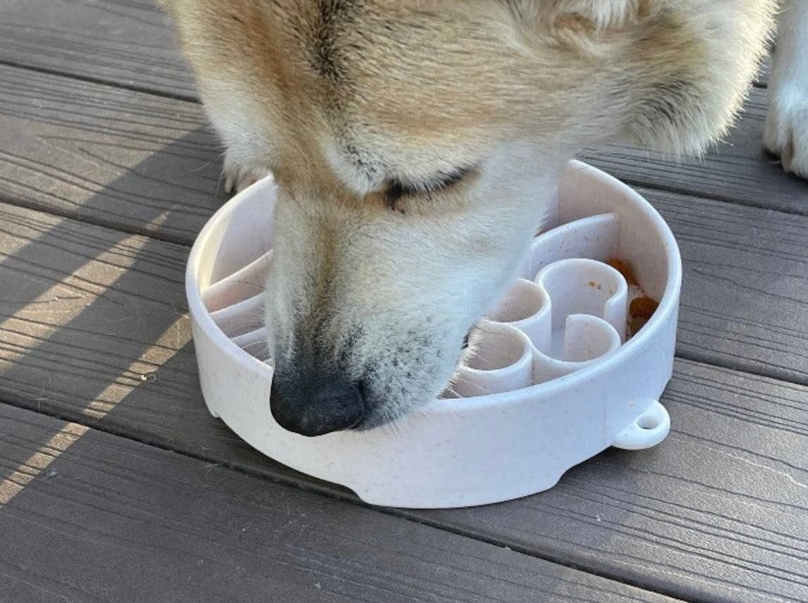 Java Design eBowl Enrichment Slow Feeder Bowl for Dogs