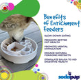 Load image into Gallery viewer, Java Design eBowl Enrichment Slow Feeder Bowl for Dogs
