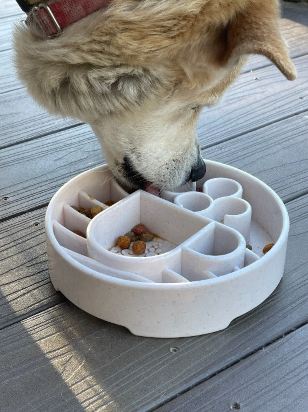Java Design eBowl Enrichment Slow Feeder Bowl for Dogs