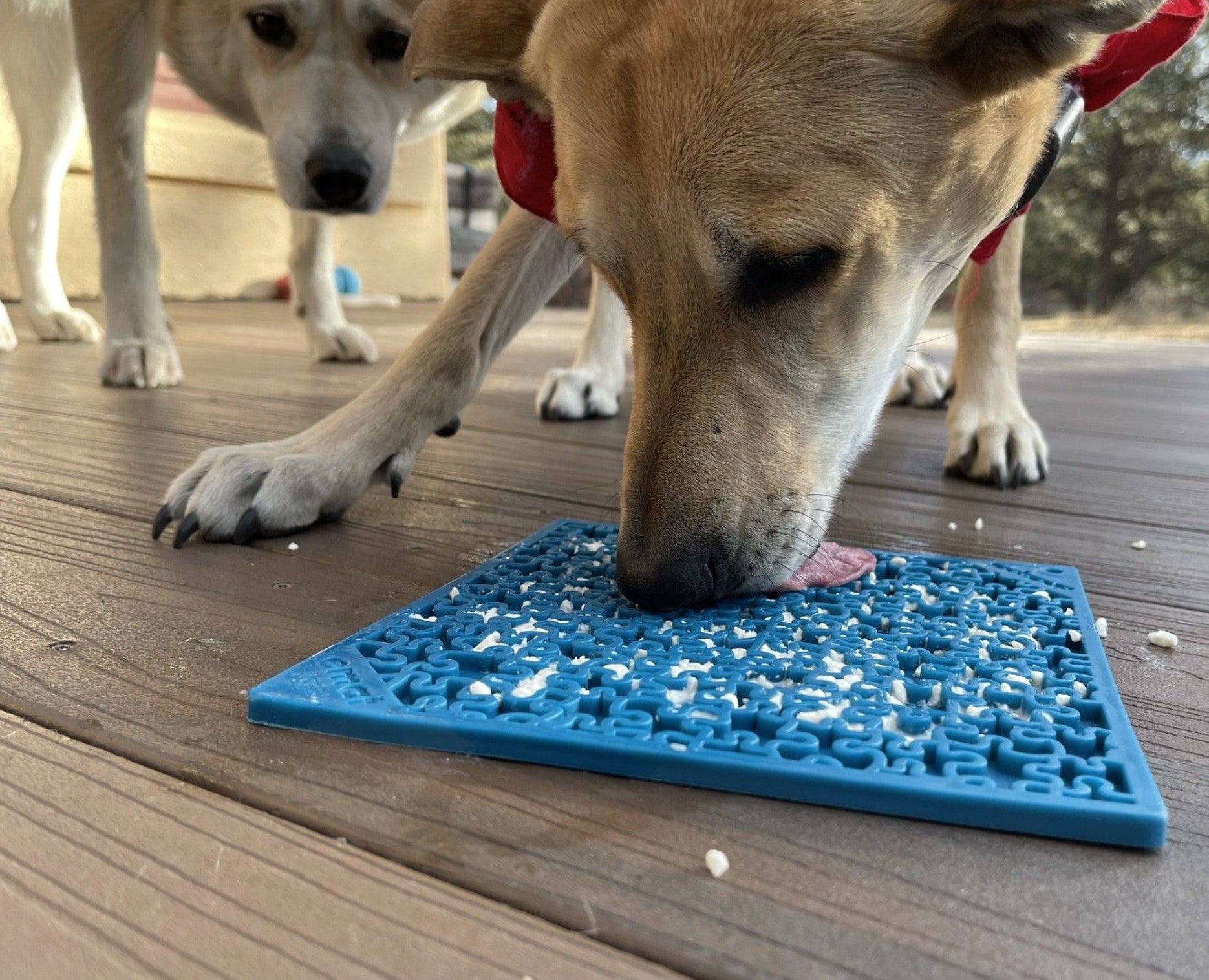 Jigsaw Design eMat Enrichment Lick Mat