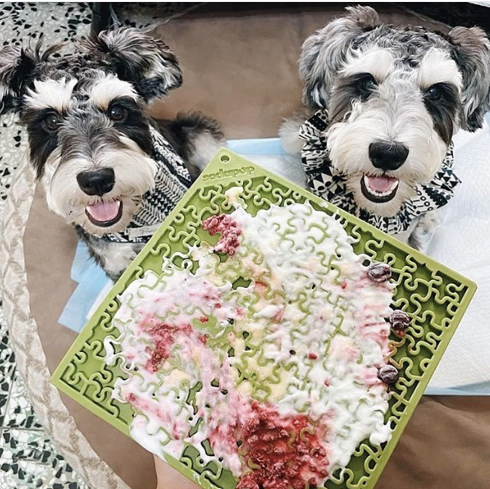 Jigsaw Design eMat Enrichment Lick Mat