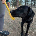 Load image into Gallery viewer, Lick Stick Hand-Held Interactive Enrichment Toys
