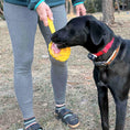 Load image into Gallery viewer, Lick Stick Hand-Held Interactive Enrichment Toys
